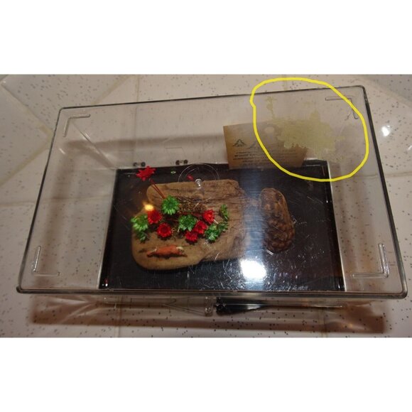 Vintage Craft Wood Original Creations Desert Scene Diorama horse cactus wood - Picture 15 of 16